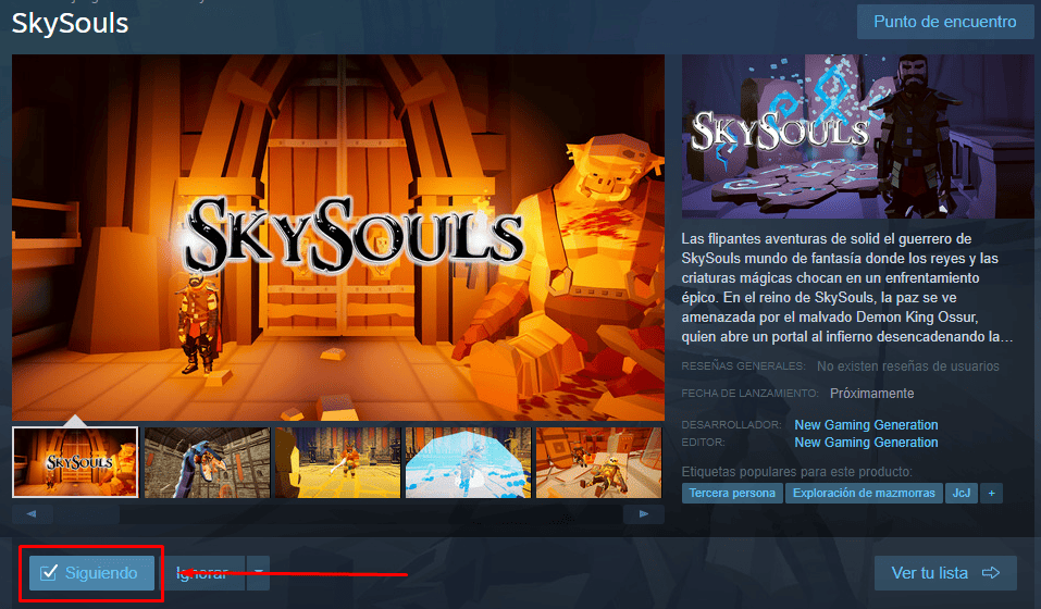 SkySouls disponible en steam